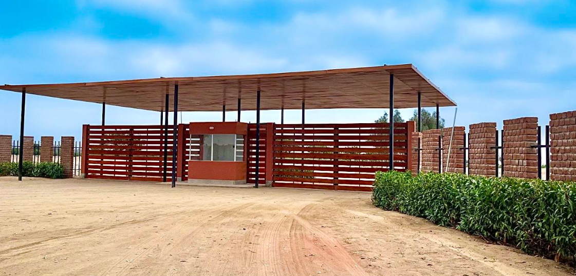 Lote 11