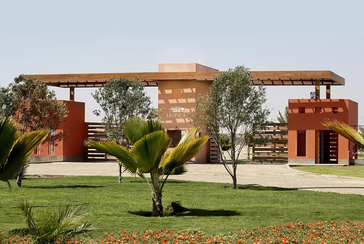 Lote 19