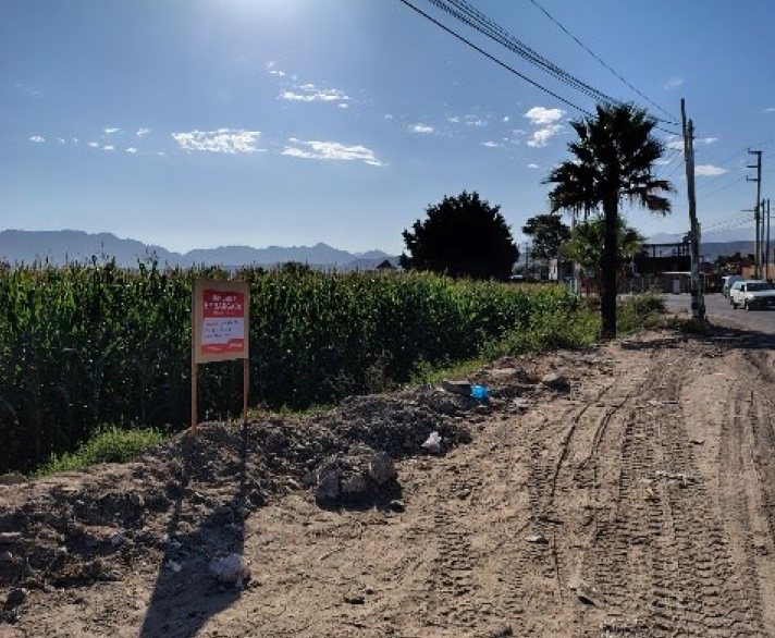 Lote 06