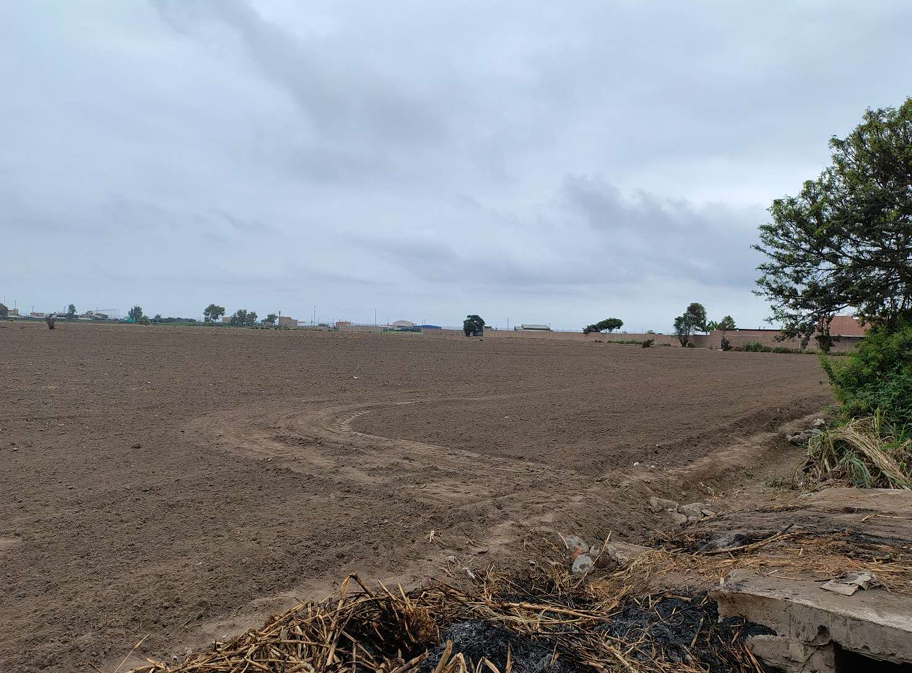 Lote 01